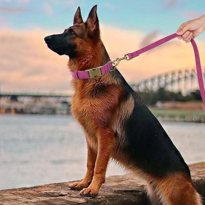 Didog Soft PU Leather Dog Collar, Stylish Quick Released Dog Collars for Large Dogs, Easy Clean Adjustable Pet Collar for Daily Walking, Purple, XL Fit 17-27" Neck