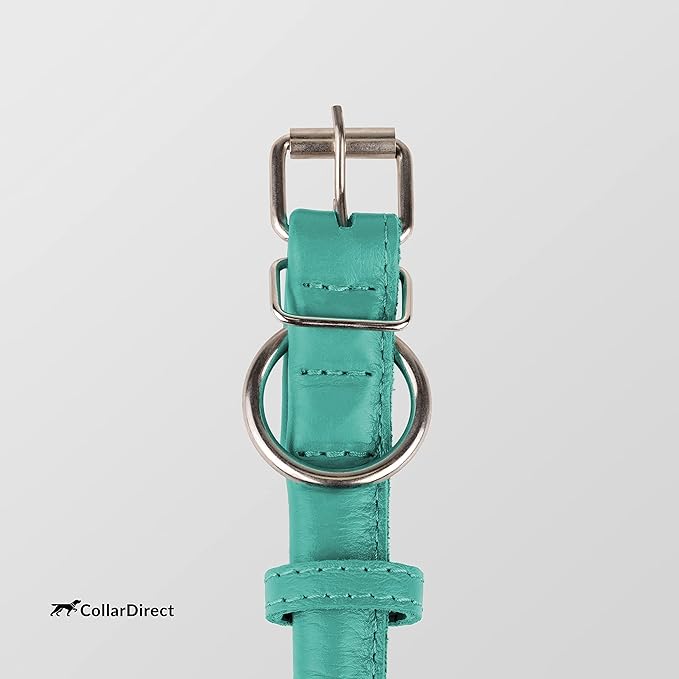 CollarDirect Rolled Leather Dog Collar, Soft Padded Round Puppy Collar, Handmade Genuine Leather Collar Dog Small Large Cat Collars 13 Colors (15-19 Inch, Mint Green Textured)