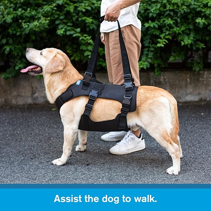 Dog Lift Harness, Rehabilitation Lifts Vest for Dogs, Support & Recovery Sling, Adjustable Breathable Lifting Straps for Old, Joint Injuries, Arthritis, Paralysis Dogs Walk (2XL, Black)