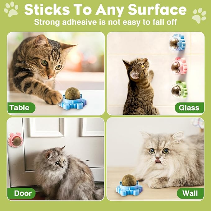 360° Catnip for Cats Wall Catnip Rollerball Licking Ball Cat Nips Mint Magic Cat Stick on Wall Crack Balls Lickable Play Chew Teeth Cleaning Pet Chew Indoor Outdoor