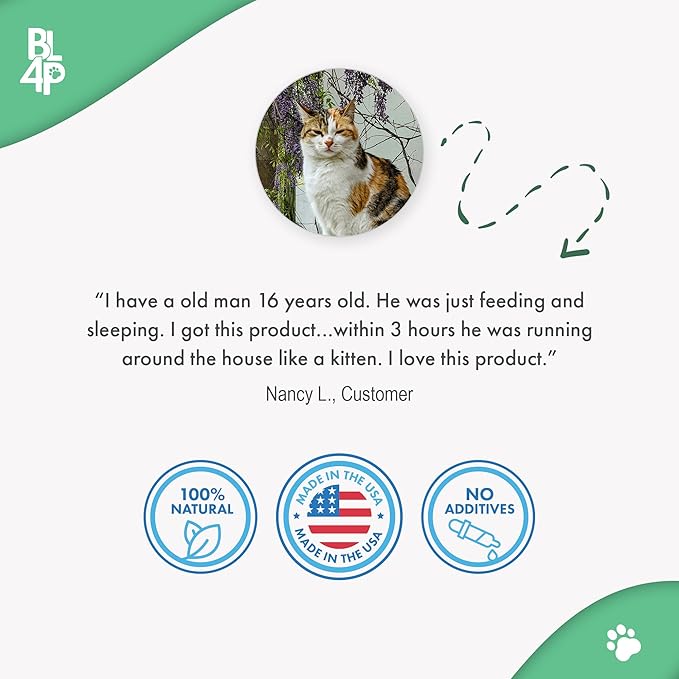 Cat Hip and Joint Pain Relief Supplement, Cat Arthritis Pain Relief, Heal from Sprains, Inflammation and Injuries, Improve Mobility, Natural Easy-to-Swallow, Odorless, Tasteless, 400 Pills