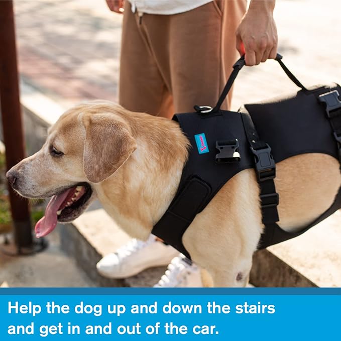 Dog Lift Harness, Rehabilitation Lifts Vest for Dogs, Support & Recovery Sling, Adjustable Breathable Lifting Straps for Old, Joint Injuries, Arthritis, Paralysis Dogs Walk (M, Black)