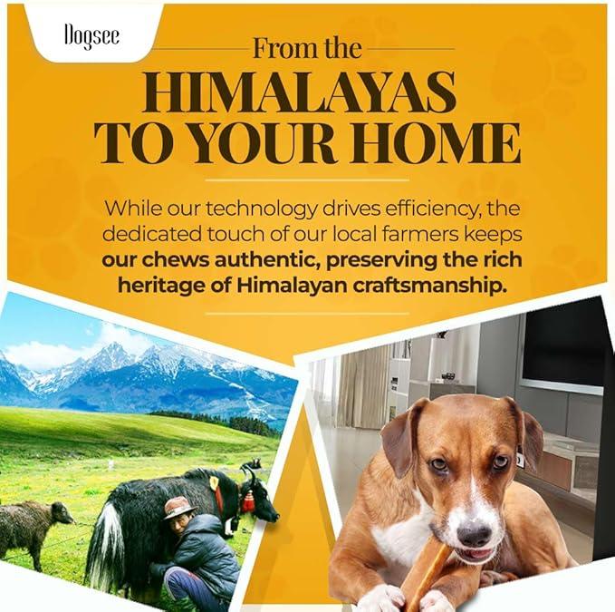 Dogsee Original Himalayan Yak Chews for Dogs 2lb (Medium - 12 Bars) | 100% Natural | Dog Treats Healthy | No Grain, No Gluten | Teeth Cleaning