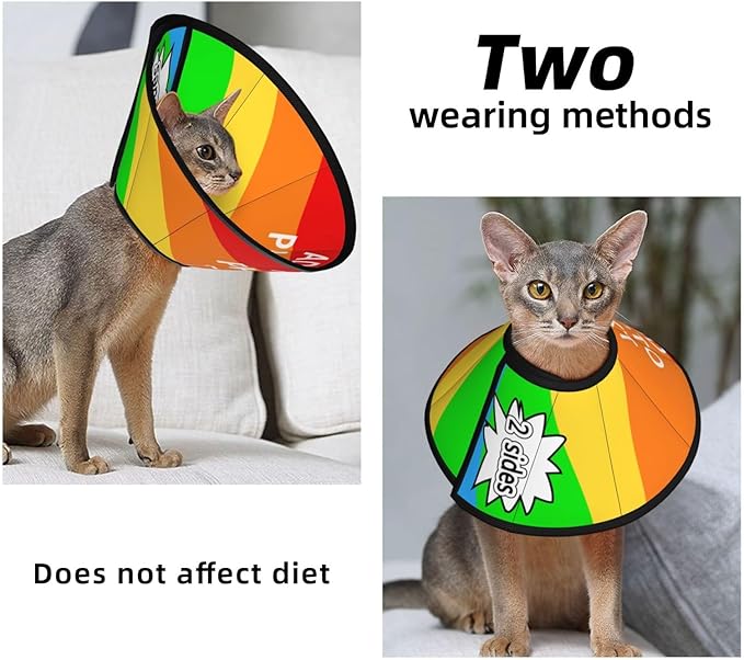 Custom Pet Cone Collar Lick Prevention Pet Recovery Collar for Neuter Safety Elizabethan Collar
