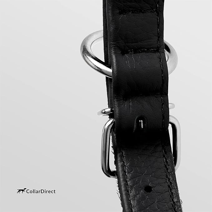 CollarDirect Rolled Leather Dog Collar, Soft Padded Round Puppy Collar, Handmade Genuine Leather Collar Dog Small Large Cat Collars 13 Colors (13-16 Inch, Black Textured)