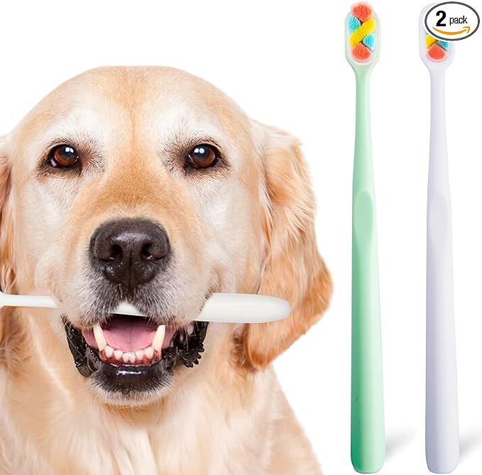 Dog Toothbrush Kit 2 Pack, Ultra Soft Pet Tooth Brush for Medium to Large Dogs, Animal Teeth Brushing Kit for Easy Dental Cleaning