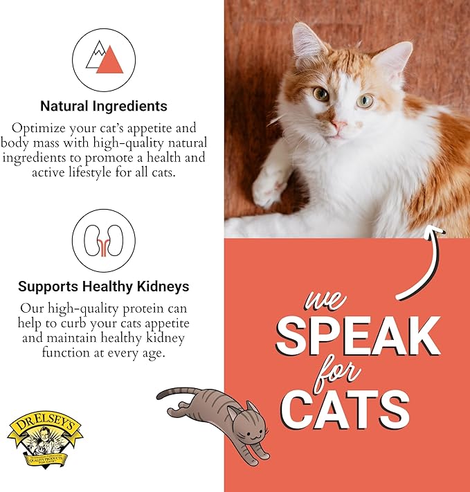 Dr. Elsey'S Cleanprotein Salmon Formula Dry Cat Food, 2 Pound (Pack of 1)