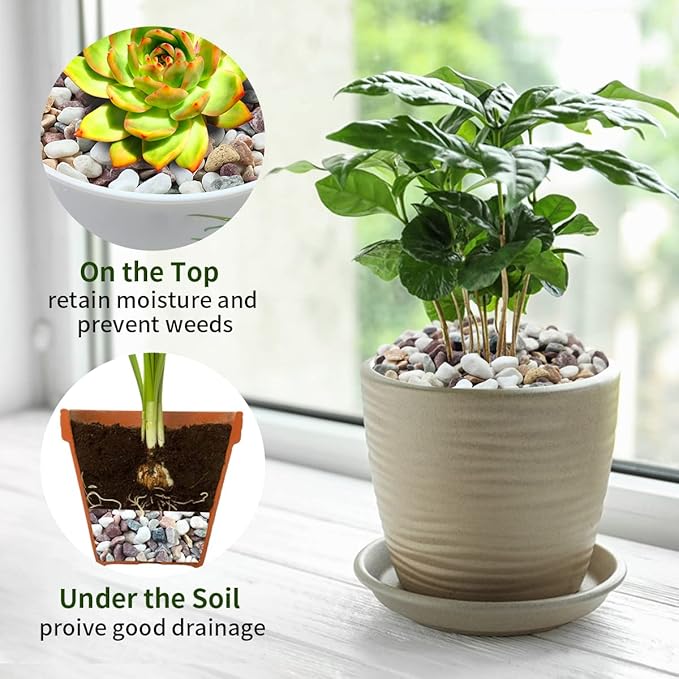 5 lbs Natural Mixed Color Gravel Pebbles, 3/8 Inch Decorative Succulent Rocks Pebbles for Plants, Stones for Vase, Landscaping and Outdoor Garden Decorative River Rock