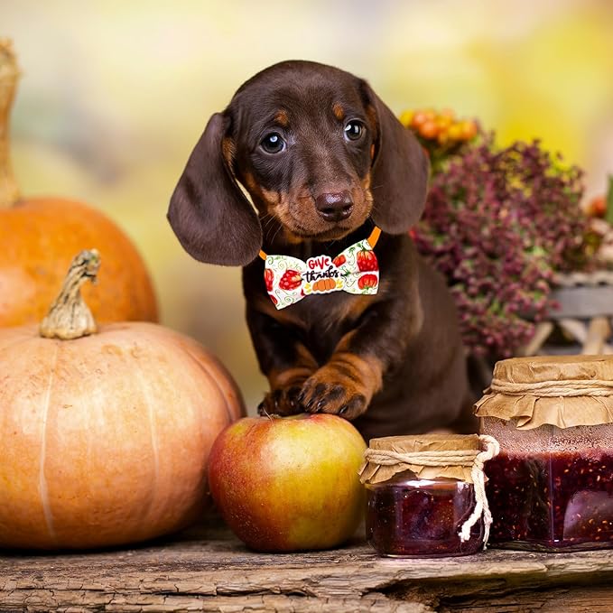 22pcs Fall Dog Bow Tie, Adjustable Bowtie Collar Attachment for Small Medium Pets, Bulk Neckties Set for Thanksgiving Day,Autumn Pet Supplies Charms Hair Costume Accessories(Maple Leaf, Pumpkin)