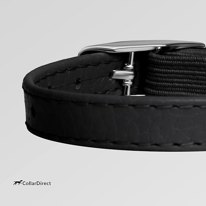 CollarDirect Leather Cat Collar, Kitten Collar with Removable Bell Black Blue Red Orange Lime Green (8-11 Inch, Black)