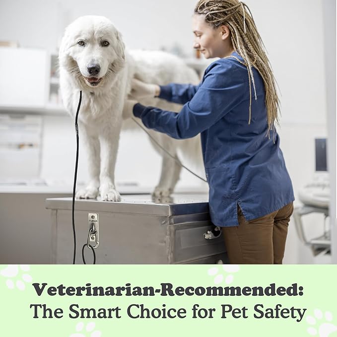 Canine Hitch- Secure Dog Leash Parking Wall Slim Hook with Clip 6 Pack - Tie Out Stainless Steel & ABS Mounting Plate for Strength - Practical Lead Management for Home & Business