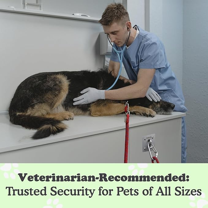 Canine Hitch- Secure Dog Leash Parking Indoor- Outdoor Wall Hook with EZ Clip - Tie Out Stainless Steel - Practical Lead Management for Home & Business