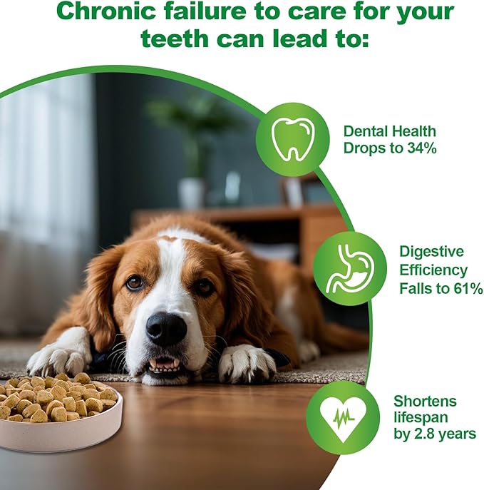 Dog Dental Powder,Dog Teeth Cleaning Powder,Dog Dental Cat Dental Care,Cat and Dog Teeth Cleaning,Canine Plaque Remover Helps Reduce Bad Breath,Improve Pet's Oral Cavity and Freshen Breath（80G）