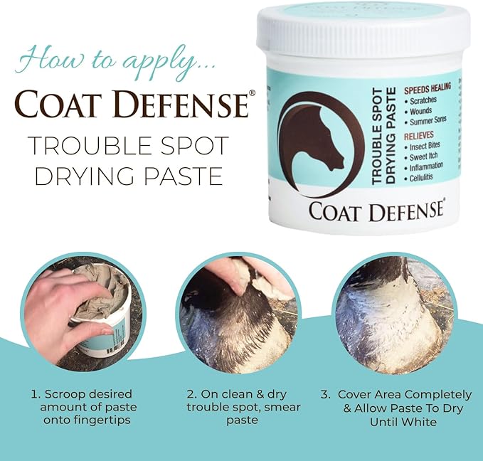 COAT DEFENSE Trouble Spot Drying Paste for Horses - Natural Equine Wound Care That Provides Safe & Effective Relief from Scratches, Sweet Itch, Summer Sores, Proud Flesh, Mud Fever, Girth Rot (10 Oz)