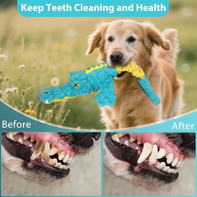 Dog Toys Cute Alligator Dog Toy Tough Plush Puppy Toy for Playtime, Training & Tug of War- Interactive Squeaky & Crinkle Chew Toy for Small to Large Dogs