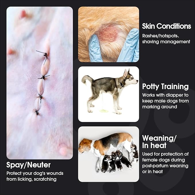 FUAMEY Dog Recovery Suit Male,Dogs Surgery Neuter Suits Puppy Spay Shirts for Female Protect Dog's Skin Anti Licking Abdominal Wounds Doggie Onesie Pet Bodysuit Alternative to Cone Rabbit Flower M