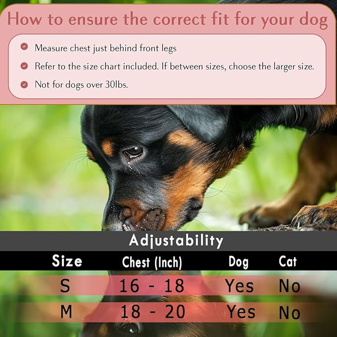 Comfort Fit Dog Harness Soft Padded No Pull Harness with Adjustable Buckles for Small Medium Large Dogs Step in Pet Vest with Easy Control Handle for Walking Jogging Running Training Dogs & Puppies