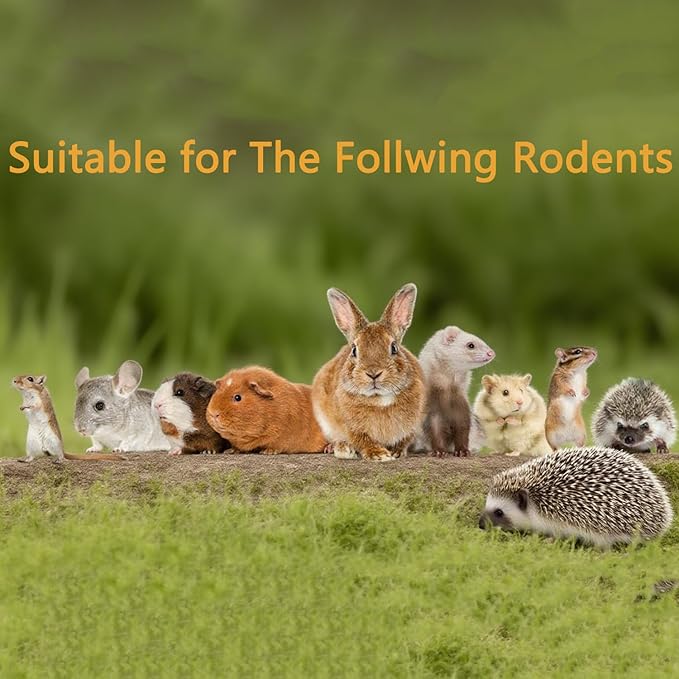 Dandelion Treat - High Fiber Food for Chinchillas, Guinea Pigs & Squirrels - 5 Herbal Blends, 6oz - Rabbit, Hamster & Small Pet Snack