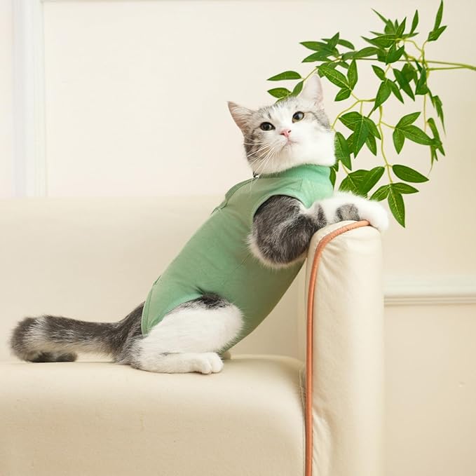 Cat Surgery Recovery Suit Professional for Surgical Abdominal Wound Or Skin Diseases E-Collar Alternative for Cats After Surgery Wear Pajama Suit (Green, Large)