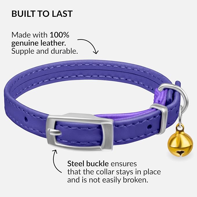 CollarDirect Leather Cat Collar with Bell - Kitten Collar, Small and Big Cat Strap for Boy Cats, Girl Cats with Safety Elastic Strap (Neck Fit 6"-7", Purple)