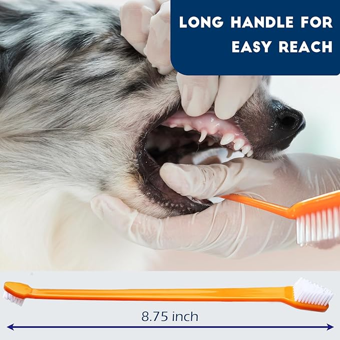 300 Pcs Dog Toothbrush Cat Tooth Brushes Bulk, Double Sided Brushing Kit, Teeth Cleaning Kit Soft Bristles Long Handle, Pet Tooth Brush for Small to Large Dog, Cat, Puppy & Kitten, 10 Colors