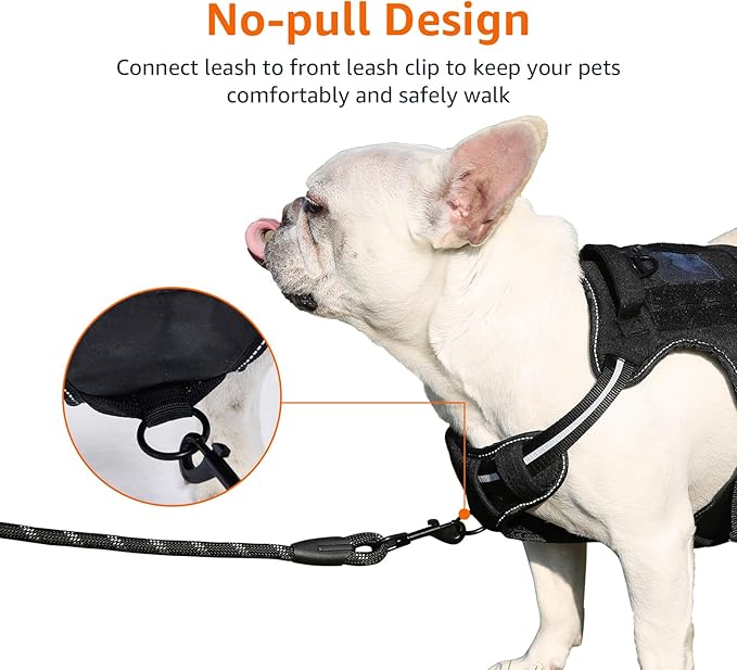 Amazon Basics No Pull Dog Harness, Adjustable Front Clip, Tactical Vest, Large, Black