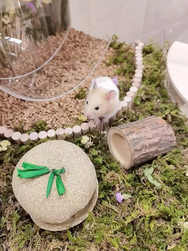 5L Forest Moss for Hamster Syrian Gerbils Bedding, Natural Moss Perfect for Potted Plants, Terrariums, Reptile Tanks and Live Creature Projects