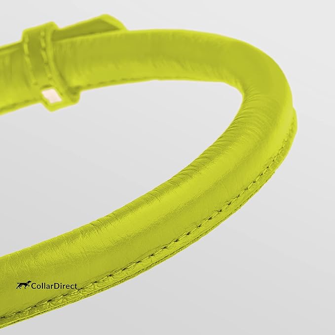 CollarDirect Rolled Leather Dog Collar, Soft Padded Round Puppy Collar, Handmade Genuine Leather Collar Dog Small Large Cat Collars 13 Colors (13-16 Inch, Lime Green Textured)