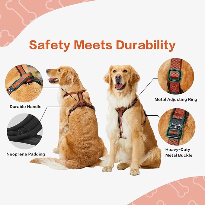 CLEPAWS Dog Harness for Medium Dogs, No Pull Dog Harness Easy Walk with Metal Hardware, Ergonomic Y-Shaped Design, Soft Padding, Padded Handle, Durable High-Tensile Nylon (Canyon Red, M)