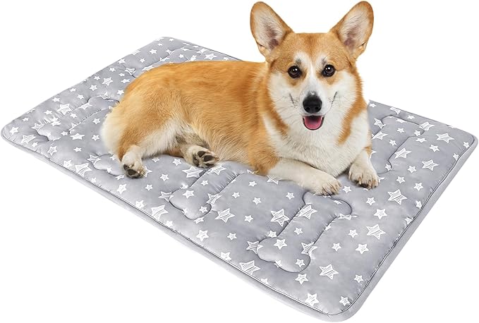 Dog Crate Mat (30" X 19"), Soft Dog Bed Mat with Cute Prints, Personalized Crate Pad, Anti-Slip Bottom, Machine Washable Kennel Pad