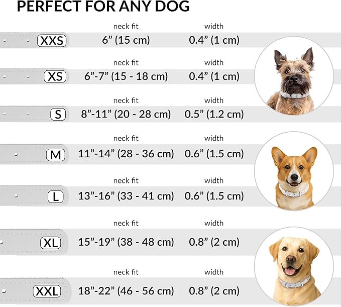 CollarDirect Rolled Leather Dog Collar, Soft Padded Round Puppy Collar, Handmade Genuine Leather Collar Dog Small Large Cat Collars 13 Colors (18-22 Inch, White Smooth)