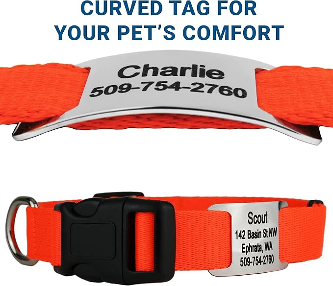 GoTags Personalized Dog Collar with Nameplate, Adjustable Dog Collar with Custom Engraved Slide On Pet ID Tag in Stainless Steel, Silent, No Noise Dog Tag for Large Medium and Small (Orange, Medium)