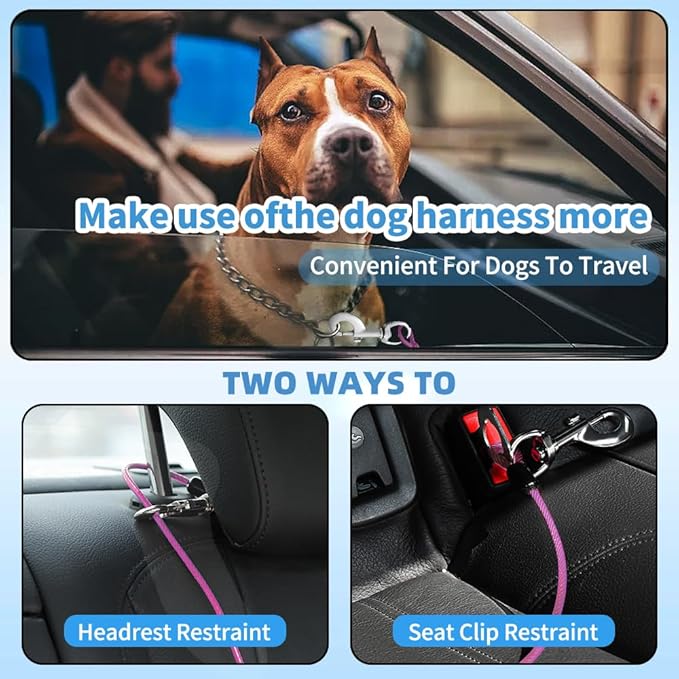 Dog Seat Belt Harness for Car,Dog Seatbelt of Coated Wire Leash Safety Restraint,No Chew Tether Cable Vehicle,Double Clips & Latch (Purple, 24 inch/60 CM)