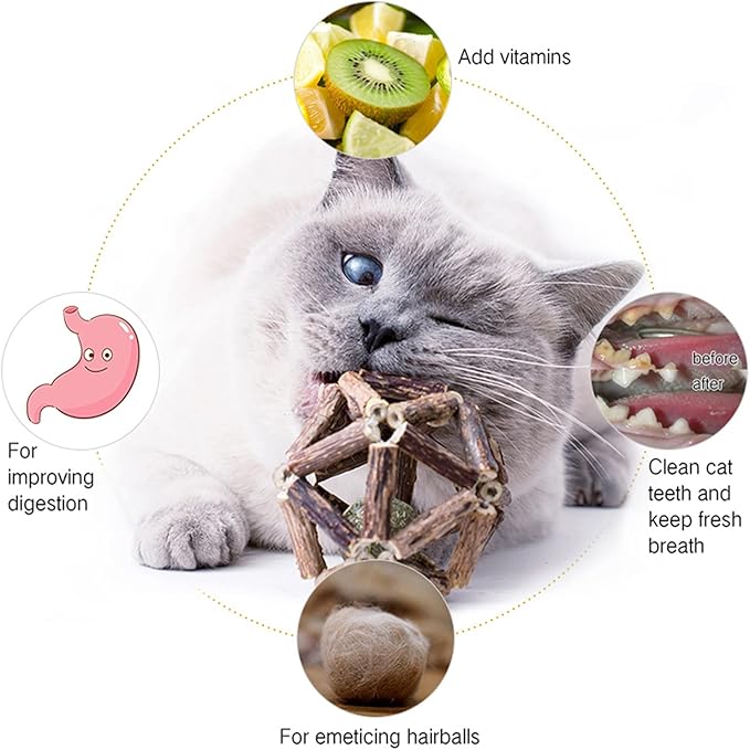 Catnip Toys-2Pcs Natural Silvervine Stick Catnip Ball&Bell Ball-Cat Toys for Indoor Cats- Cleaning Teeth Molar Tools Matatabi Cat Chew Toy-Kitten Toys All Breeds