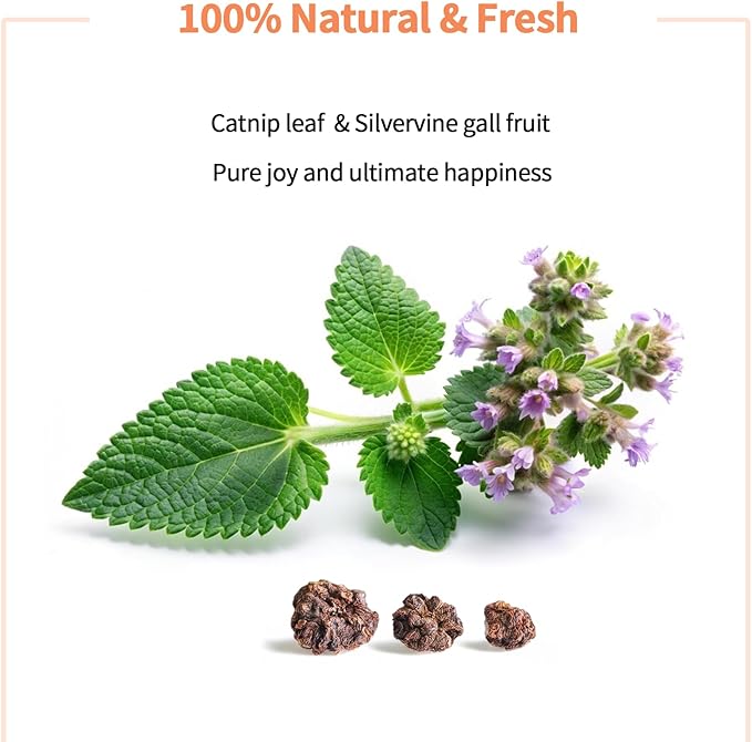 Catnip & Silvervine Powder – 50g Blend of Silvervine Gall Fruit & Catnip, Non-Addictive, for All Cat Ages, Multi-Use with Toys, Scratchers & Protecting Furniture, with 5 Little Pouches