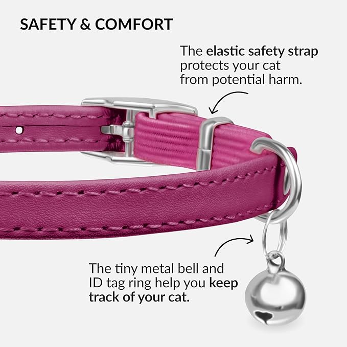 CollarDirect Leather Cat Collar with Bell - Kitten Collar, Small and Big Cat Strap for Boy Cats, Girl Cats with Safety Elastic Strap (Neck Fit 8"-11", Pink)