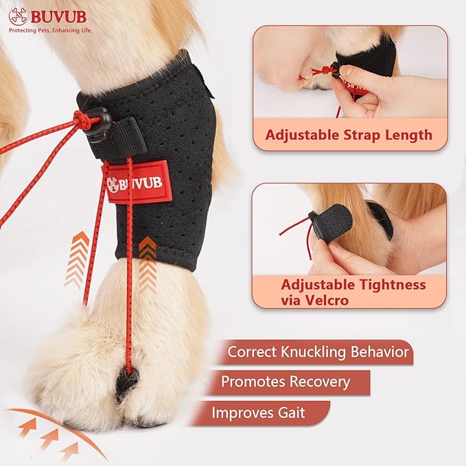 Dog Canine Knuckling Brace Rear Leg Dog Foot Brace Wrap for Toe Dragging Cause by Sciatic Nerve Insufficiency, Myelopathy, Herniated Disc (Medium)