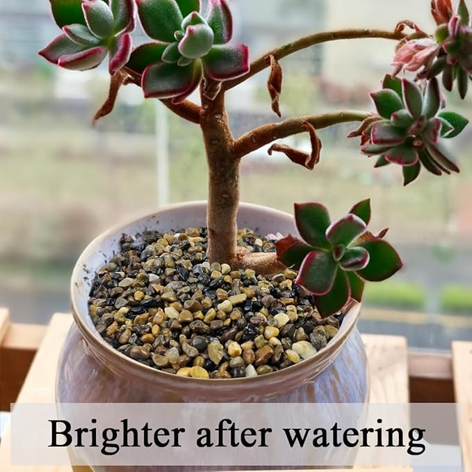 2lbs Fish Tank Rocks, 1/4 Inch Pea Gravel for Fish Tank, Decorative River Rocks for Aquarium Succulent Cactus Plant Vase Fillers Soil Cover and Outdoor Landscaping Stones