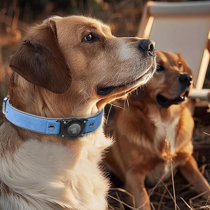 AirTag Dog Collar - Leather Dog Collar with Air Tag Holder | IPX8 Waterproof, Reflective, High - End, Adjustable Soft Padded | Dog GPS Tracker Collars Fit for Medium Large Dogs (Blue, L)