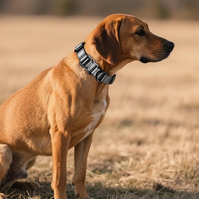 AirTag Dog Collar - Leather Dog Collar with Airtag Holder | IP68 Waterproof AirTag Holder with Metal Buckle, Comfortable GPS Dog Collars Tracker for Medium Large Dogs (Black, M)