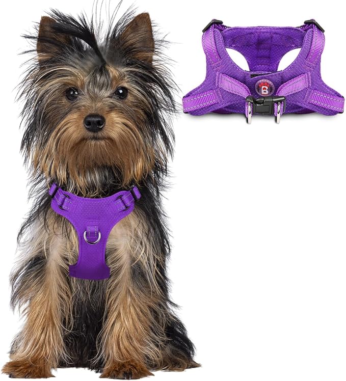 Dog Harness Step in Dog Vest Harness, Reflective Adjustable Puppy No Pull Harness Breathable Soft for Small and Medium Dogs Cats, Purple, XXS