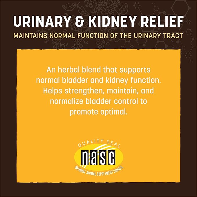 Earth Animal Herbal Remedies | Urinary and Kidney Relief | 2 fl oz