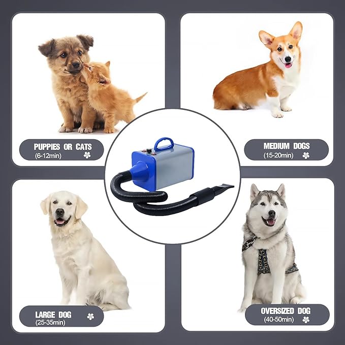 2400w 75m/s Dog Dryer for Pet Grooming, High Velocity Pet Hair Dryer with Heater, Adjustable Speed, 4 Nozzles and a Comb, Blue