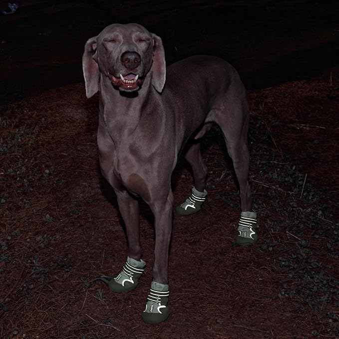 Dog Shoes, Waterproof Dog Boots & Paw Protectors with Anti-Slip Sole, 4pcs/Set Pet Dog Booties, Reflective Dog Shoes for Small Medium Large, Winter Snowy Summer Hot Pavement (Green, 5# (M))