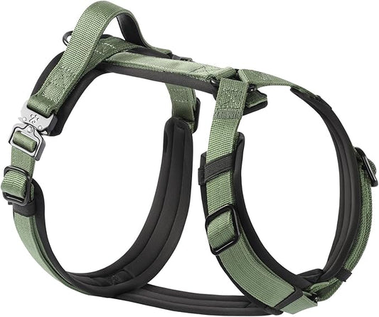 CLEPAWS Dog Harness for Small Dogs, No Pull Dog Harness Easy Walk with Metal Hardware, Ergonomic Y-Shaped Design, Soft Padding, Padded Handle, Durable High-Tensile Nylon (Evergreen, S)