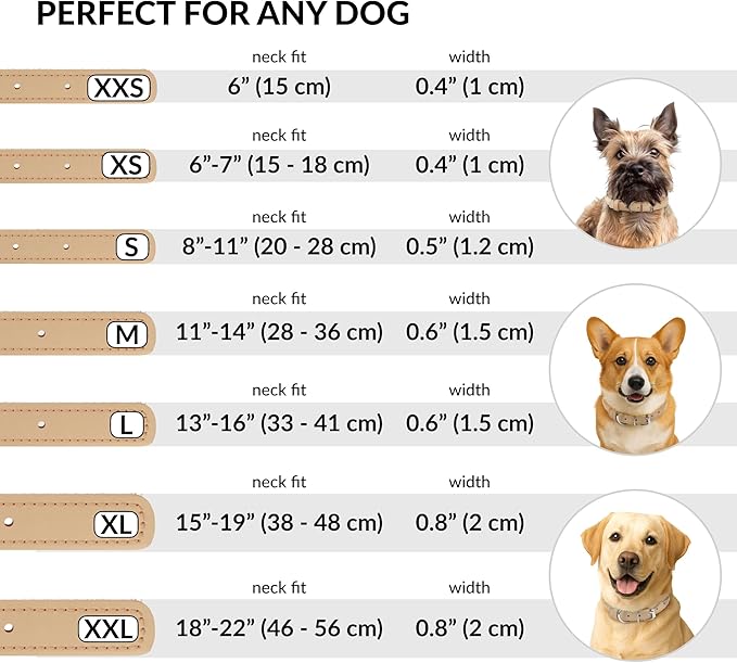 CollarDirect Rolled Leather Dog Collar, Soft Padded Round Puppy Collar, Handmade Genuine Leather Collar Dog Small Large Cat Collars 13 Colors (15-19 Inch, Beige Smooth)