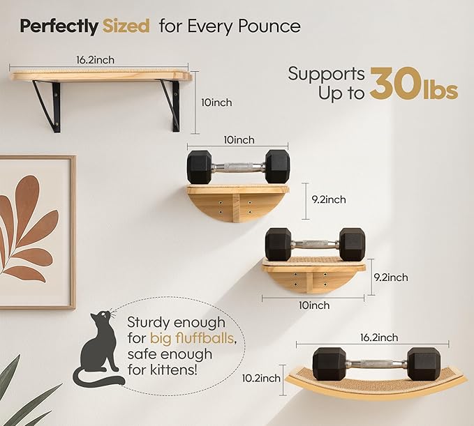 Cat Wall Shelves with Sisal Pads, 4-Piece Wooden Cats Furniture Set with Cat Window Perch, Flat Shelf & Sisal-Clad Steps for Climbing and Scratching