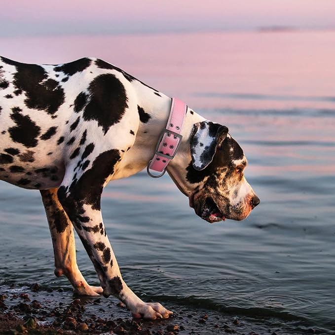 Fida Heavy Duty Dog Collar 1.5” Width, Ultra Soft Neoprene Padded, Adjustable Reflective Nylon Pet Collar with Two Metal Pin Belt Buckle for Large/X-Large Breeds (XL, Pink)