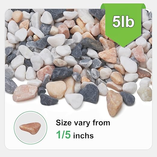 5 lbs Small Rocks for Plants, 1/5 Inch Pebbles for Indoor Plants, Natural Decorative Pea Gravel for Aquarium, Fish Tank, Terrarium, Succulents, Bamboo Plants, Vases, Cactus, Crafts