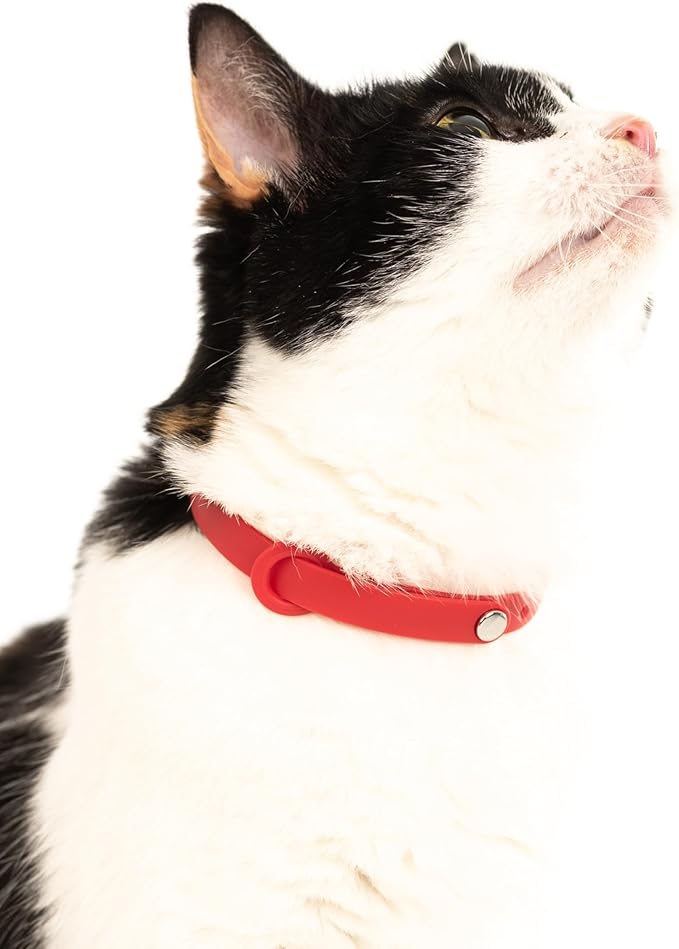 Cat Collar 2 Pack - Soft, Comfortable, and Lightweight Safety Breakaway Collar with Name Tag Ring for Outdoor Cats and Sensitive Skin Kittens by Nuvuq (6 ⅞" to 10 ¼", Red)